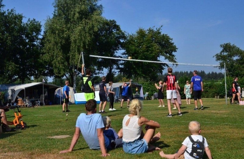 Volleybal-voetbalvelden